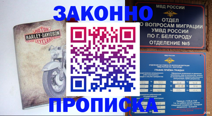 прописка для школы в Зее